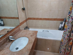 Sommerville Park (D10), Condominium #610333831
